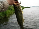 2005-06-27 034.JPG